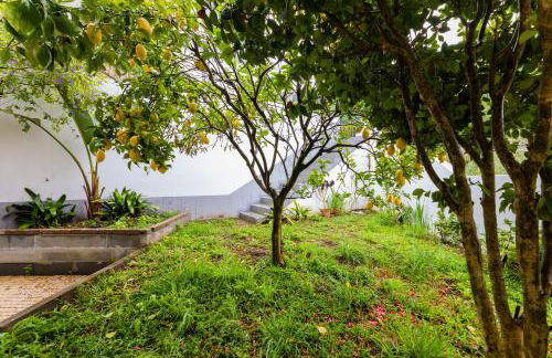 BESTVILLAS Seixas Beira Rio - Photo 58