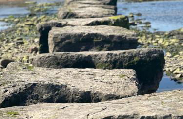 Cosy one bed cottage in Anglesey - Foto 17