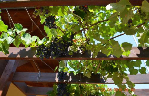 Kavala Villa 360 degrees green - Foto 54