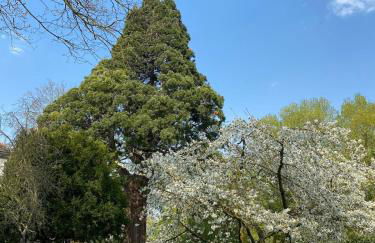 Longère des Templiers near Troyes - Foto 22