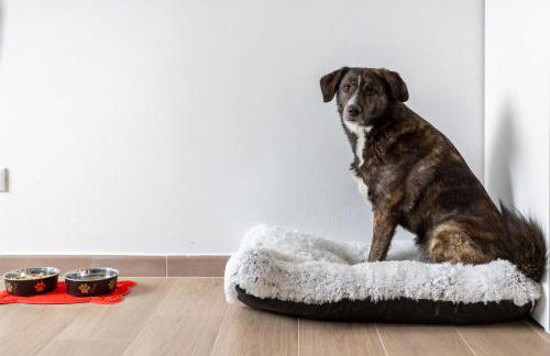 Arya's Corner by the Lake - Parcheggio - Vista lago - Foto 17