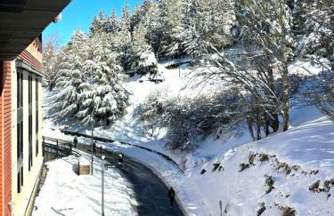 Snow Paradise Gorbea - Foto 27