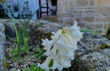 Casa da Relva Experiência Temática Inspirada em Harry Potter - Foto 36