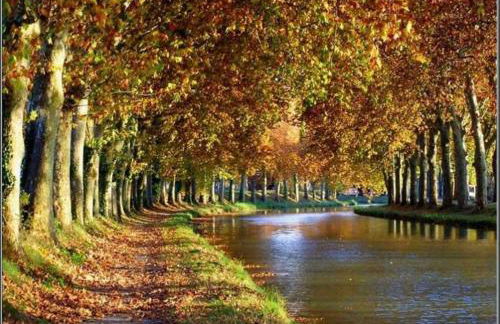 Domaine de vacances à 600m de la plage villa climatisée 3 chambres 7 couchages terrasse WIFI animations et piscines en supplément LRPDSD7 - Foto 31