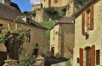Petite maison en pierre au coeur du Périgord noir proche de Sarlat et Rocamadour - Foto 56