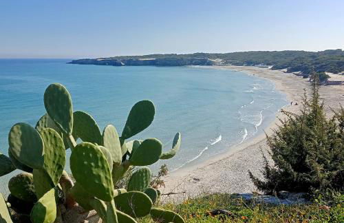 Petite Maison 46 - Foto 15