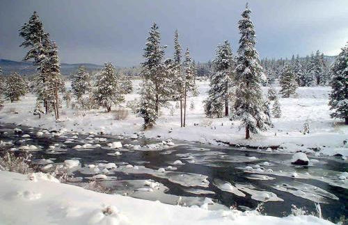 Designer Home conveniently located in Reno NV - Foto 26