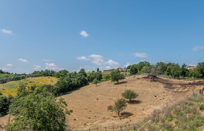 2 bedroom House in Cinigiano with private pool and garden - Photo 45