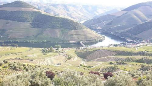 Casa Rodrigues - Foto 4