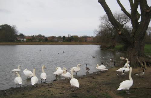 Southfield House - Foto 21