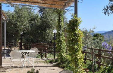 Tenuta Belvedere Cilento - Foto 55