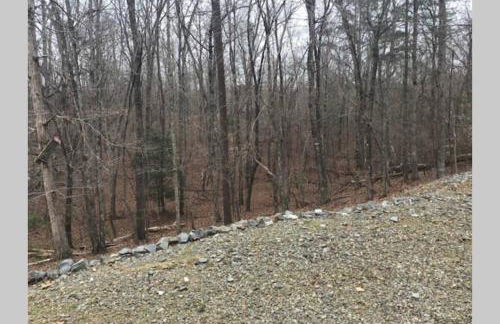 Eagle Mountain River Retreat - Foto 24