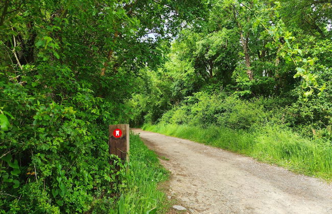 Jardines de Uleta Suites - Foto 76