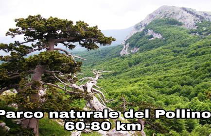 Casa Vacanze BORGO VECCHIO - Photo 37