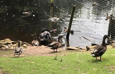 Burndavis Lodge - Foto 23