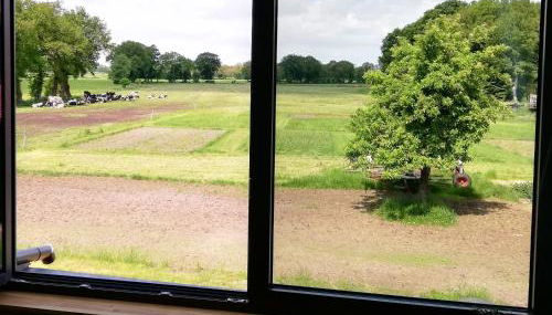 Etzel-Lodge Weideblick - Foto 3, Garden, Garden view