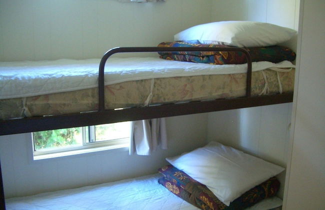 Rainbow Pines Tourist Caravan Park - Foto 8