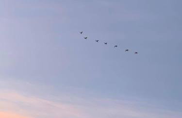 Sea the Blue Garden SPA Odargowo - Foto 55