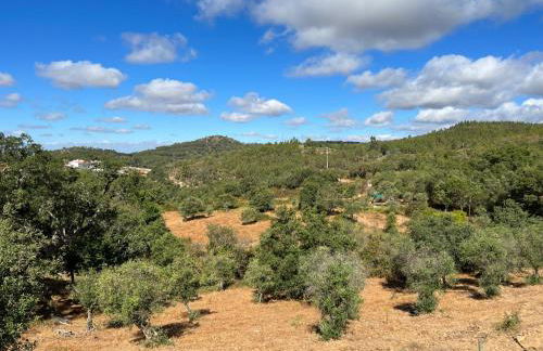Quinta Castanheiro da Penha - Alegrete - Portalegre - Alentejo - Foto 28