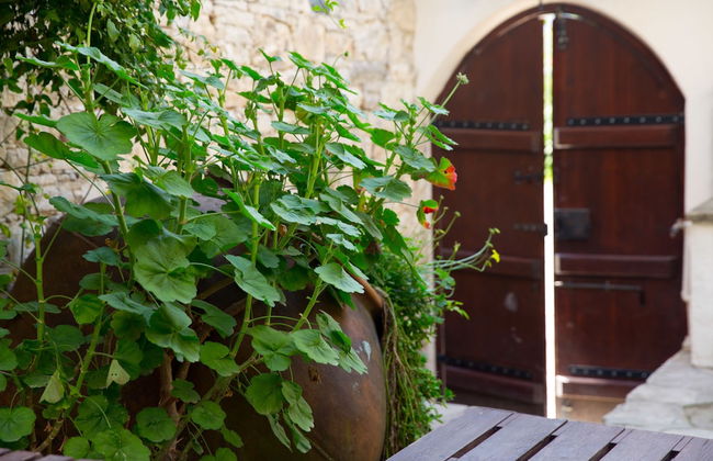 The Old Olive Mill - Foto 17