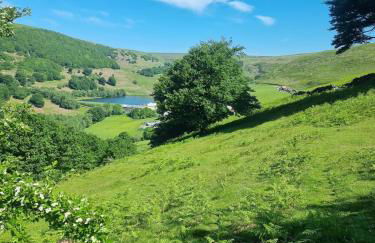 Rock Ridge Villa - Foto 28