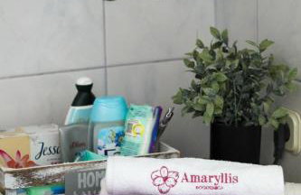 Amaryllis - Photo 29