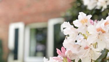 Haferland - Ferienwohnung Fritz, Nähe Hof Oberlethe - Foto 4