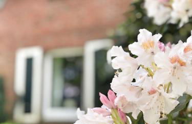Haferland - Ferienwohnung Fritz, Nähe Hof Oberlethe - Foto 4