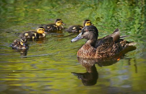 Appartement atypique dans un ancien couvent - Photo 20