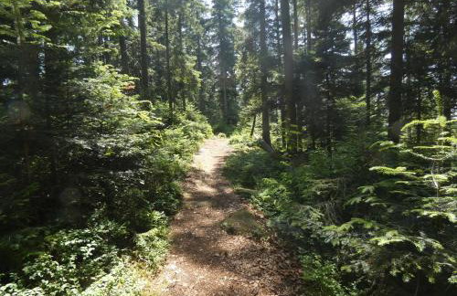 Ferienhaus Schmuckstück - Photo 16