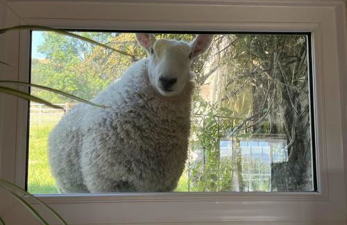 Riding house Farm Cottages - Photo 58