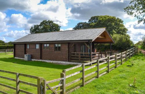 Dartmoor - Uk12537 - Foto 15