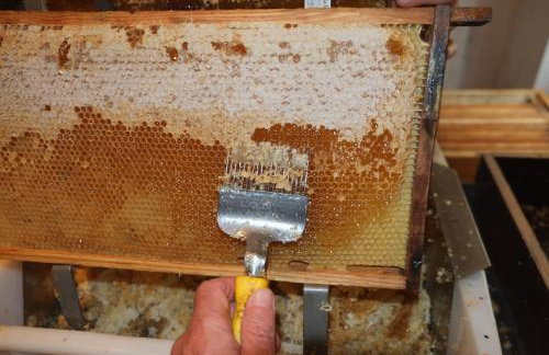 Ferienwohnungen beim Imker - Foto 7