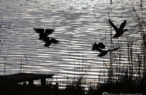 Ferienwohnung Welcome mit Seeblick - Foto 23