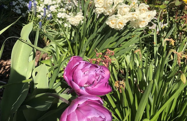 Ferienwohnung Dettum - Foto 56