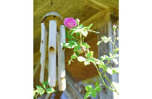 Holiday home in Süttorf with swimming pool - Foto 23