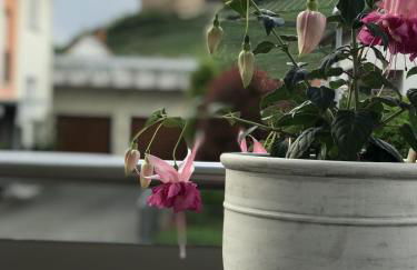 Apartment Rosalie Burgblick EuropaPark in ca 15min erreichbar - Foto 31