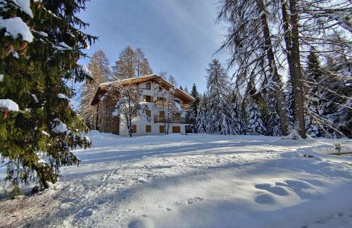 Residenza Larici - Foto 17