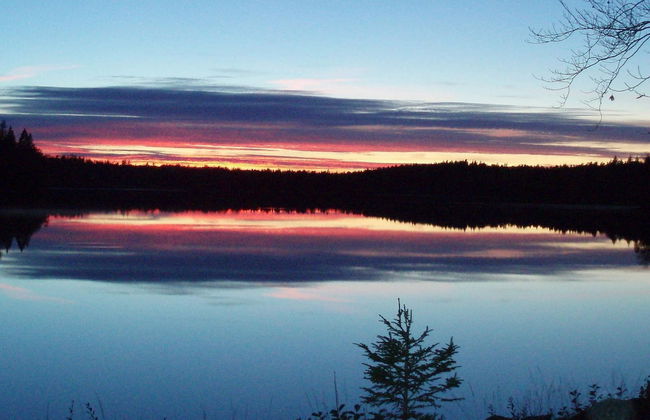 4 Person Holiday Home in Hallabro-by Traum - Photo 20