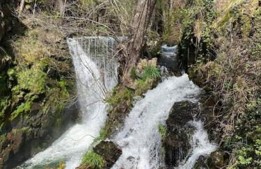 Ferme de ma Grand-Mère - Foto 13