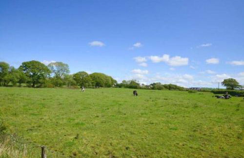 Goitre Bach Cottage - Photo 6