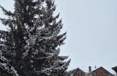 Montesqui Formigal, exclusivo ático con vistas a pistas, guardaesquis y garaje - Foto 31