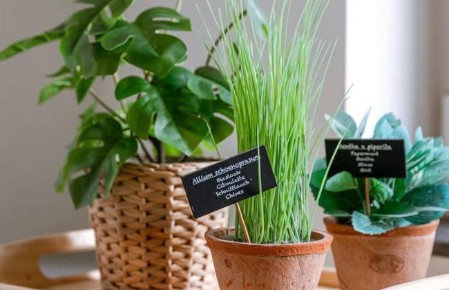 Pleasant Apartment Near the Center of Ghent - Foto 11