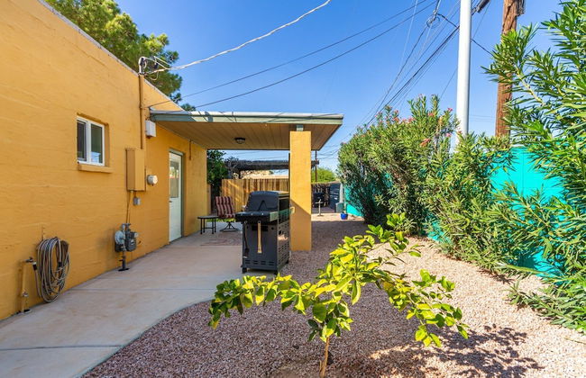 Washington Chandler - Foto 29