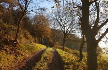 Bells Cottage - Foto 36