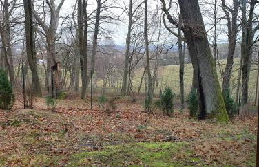 Waldhaus Hempe - Photo 12