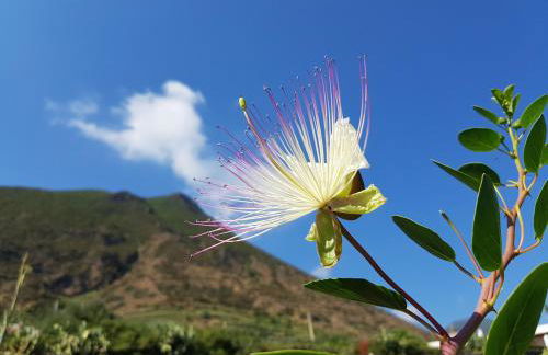 Casa del Nespolo - Foto 5