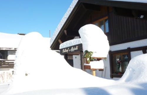 Baldauf's Alpchalet - Photo 6