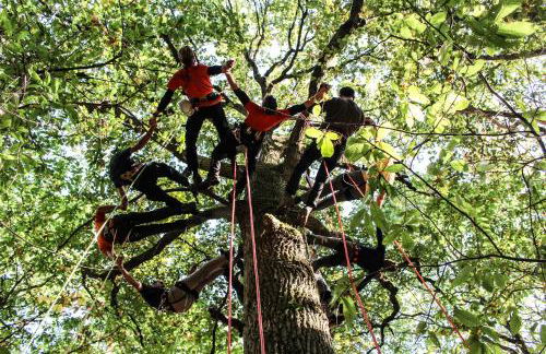 Domaine le Vaxergues - Photo 24