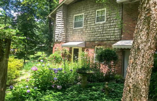 Mary's Place - Studio surrounded by nature but close to High Point - Photo 13